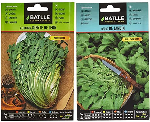 Achicoria Silvestre DIENTE DE LEON & Berro JARDIN - Lepidium sativum