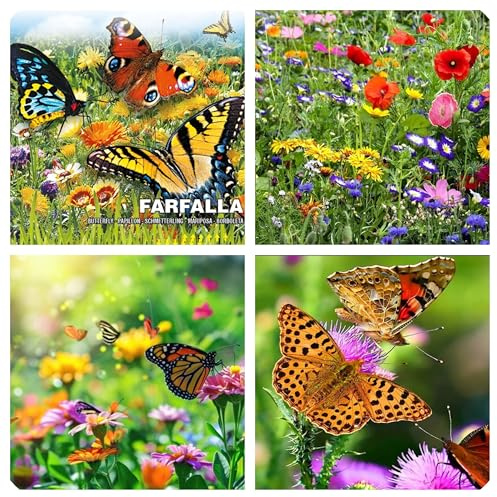 Semi di Fiori per Farfalle, Miscuglio di Annuali Colorati e Profumati, Fioritura abbondante, 500 Semi