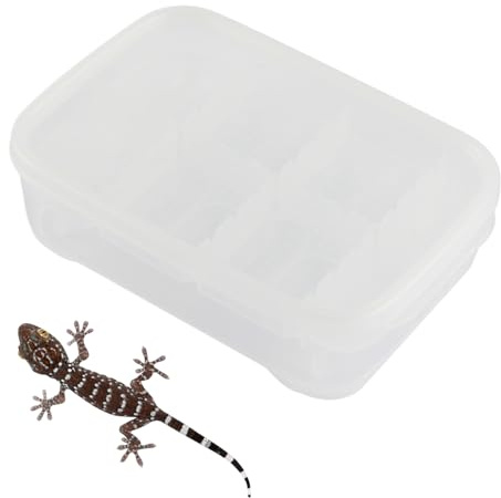 Reptilien-Inkubator – Schlangen-Terrarium für 14 Jahre Wohnung | Inkubator für Reptilien mit transparentem Design | Reptilientank für Reptilien, Spinnen und Skorpione