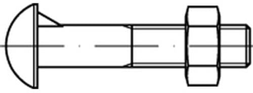 DIN 607 Halbrundschraube M16x60 Stahl 4.6 blank m. Nase u. Mutter 50 Stk