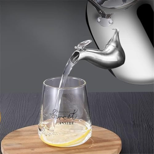 Hervidor de inducción de gas de acero inoxidable 304 de gran capacidad para hervir agua, electrodomésticos, cocina, diseño elegante