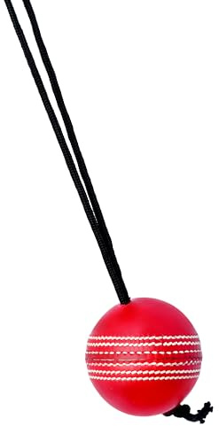 Naqqash Sports Willow Cricket Hanging Ball for Bat Knocking and Practice, 1 Hard Ball