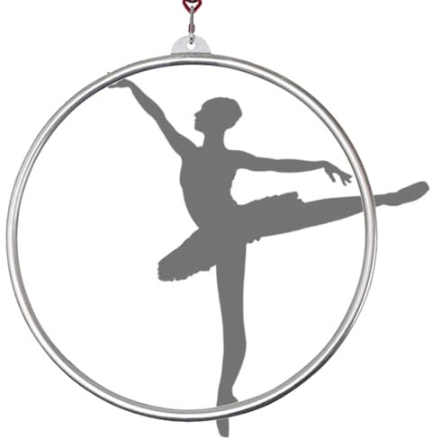 Quixnova Aerial Hoop Set - Aerial Lyra Hoop 3,2 cm Rohrdurchmesser Vollständig auf Festigkeit getestet 300 kg / 660 lbs Einzelpunkt Aerial Dance Zirkusring für Yoga Akrobatik Gymnastik,90cm