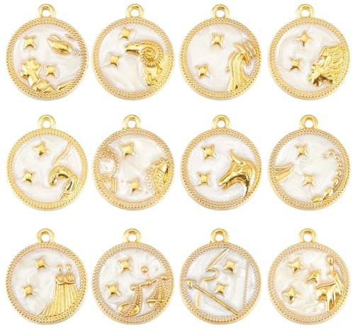SUNNYCLUE 1 låda 24 st 12 stilar stjärnbilder berlocker guld stjärntecken berlock legering emalj platt rund stjärna tolv konstellationer astrologiska hängen för smyckestillverkning halsband armband