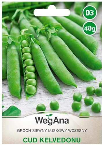 WegAna Petits pois Cud Kelvedonu/Miracle de Kelvedon précoce 40g graines, graines de légumes robustes, graines de légumes, graines de culture, graines pour la serre