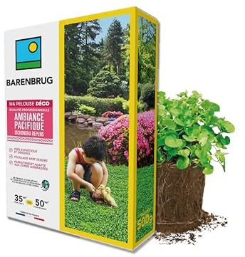 BARENBRUG - Pelouse Ambiance Pacifique - Dichondra - Très Esthétique et Original - Feuillage Vert Tendre - Parfaitement Adapté aux Zones Ombragées - Aucun Déchet de Tonte - Fabriqué en France - 500G