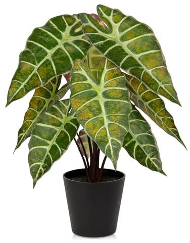 Briful Fake Plant Real Touch Artificial Alocasia Bambino Plant in Black Nursery Pot Faux Alocasia Polly Houseplant for Shelf Tabletop Centerpieces Farmhouse Home Décor, Yellow Green