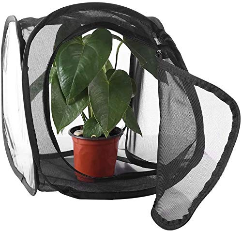 Portalbe, Insect Butterfly Habitat kits, Insect Butterfly Garden Mesh Net Cage, Terrarium Stick,Tarantula Enclosure Tank, Butterfly Farm,House Faunarium 30 * 30 * 30cm NFF-57 Small
