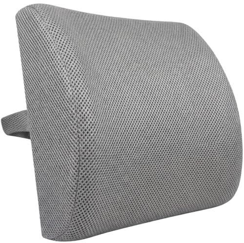 HomDSim Memory Foam Lumbar Cushion Lower Back Support Pillow Posture Correcting Car Seat Home Office Chair (Gray)