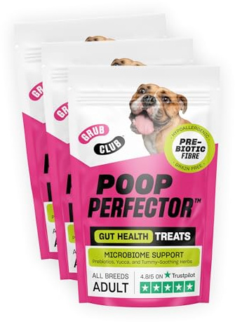 Insect Protein Superfood Dog Treats for Digestion & Sensitive Stomachs - Grain Free, High Protein and Planet Friendly - Poop Perfector (3 x 100g) - GRUB CLUB