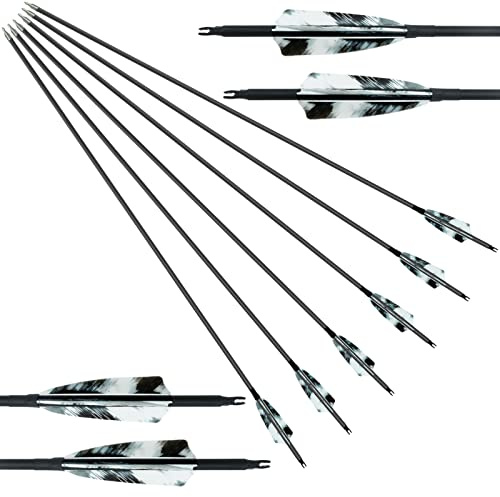 Flèche Carbone 28/29/30/31 Pouces 4 Plumes Naturelles Pratique de Ciblage Chasse Spine 400 pour Arc Classique Long Traditionnel et Arc à Poulies(6Pcs) (30 Pouces)