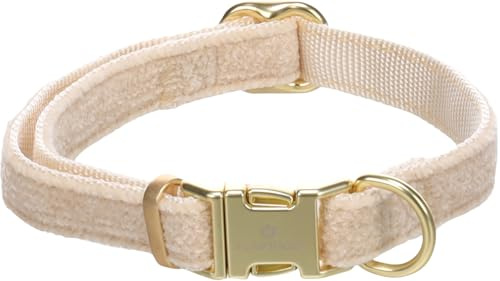 Collier Chien – Saba Beige S | 30-45cm x 15mm x 3mm, Nylon/Velours, Boucle dorée