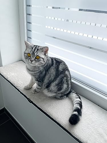 Lebon - Banki XXL - 2 STÜCK - Fensterkissen - Fensterliegekissen - Fensterbankliegeplatz - Fensterbankkissen Kissen Katzenbett - 90x25 - Kuschelweich - Ideal zum ausruhen am Fenster
