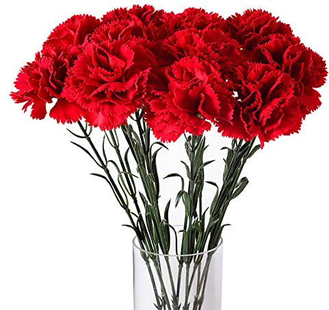 10 Stück Künstliche Nelken wie Echt, 54cm Kunstblume Langstiel Nelke Blumenschmuck Blumenarrangement Gefälschte Nelkenbusch Blumendeko für Fotorequisiten Festliche Muttertagsdekoration Lehrertag