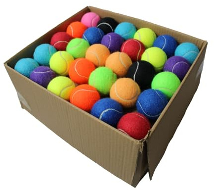 Swingers Tennis Balls,80 Pack High Elasticity Training Exercise Tennis Balls for Beginner,Practice Balls for Dog, with Mesh Carry Bag Easy to Transport (Multicolor, 80 Pack)