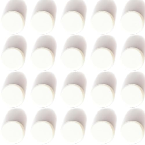 PYJLBX Aimant Magnétique Puissant - 20 PCS Mini Aimants Ronds Plats Pour Tableau et Frigo - Magnet Pour Bureau (Blanc)