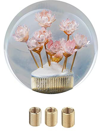 Auto Schaltknauf Schaltkugel, Kreativer Schalthebel Schaltkopf Auto Schalthebel Knopf Transparenter Blume Ball Schaltknauf Auto-Schaltknauf aus Acryl Universal Custom Car Zubehör