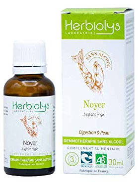 Macérât De Bourgeon Bio | Sans Alcool | Gemmothérapie | Flacon de 30 ml | Herbiolys (Noyer)