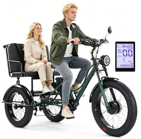 Tricycle Cargo électrique pour Adultes, vélo à Gros pneus 24 Pouces, Panier arrière, Cadre en Acier au Carbone, klaxon LCD, Phare LED, autonomie de 65 km, Vert