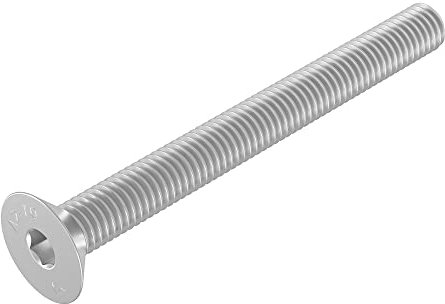 Vite a testa svasata SECCHARO M10 x 100 mm, acciaio inox V2A VA A2, DIN 7991 / ISO 10642, esagono incassato, 20 pezzi