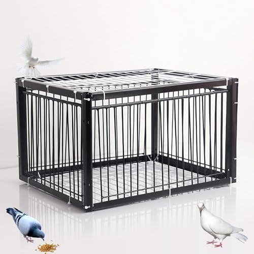 REBOTZ Trampa para pájaros, Jaula Trampa para pájaros, Colector de Trampa, Puerta de gallinero de para Palomas de Carreras, Palomas, Loros,Puerta de Ventana, Suministros de cría para Captura de Aves(1