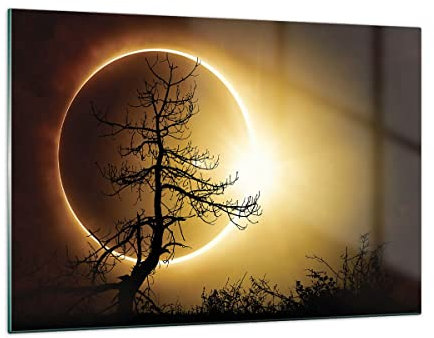 Wandbilder Dekoration Wohnzimmer Sonnenfinsternis die Sonne Baum Bilder auf Glas 120x80cm Glasbild Schlafzimmer Küche Deko Wand Kunstdruck Art Groß XXL Wanddeko Bild im Glas Modern GAA120x80-4349