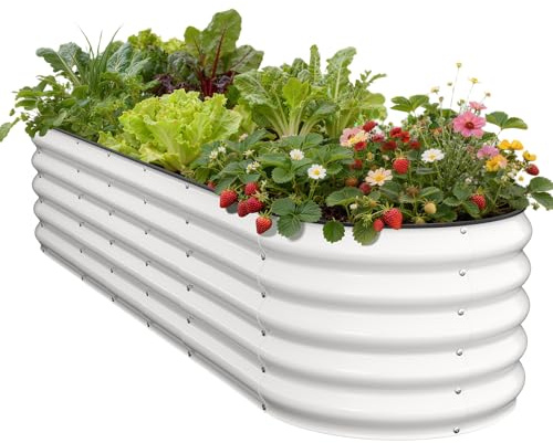 Pattiumo Galvanized Raised Garden Bed 8×2×1.5 FT, Round Metal Raised Garden Bed Outdoor Planter Box with Open Bottom, Rust-Resistant Steel Garden Bed for Vegetables Herbs Flowers, Easy Assembly