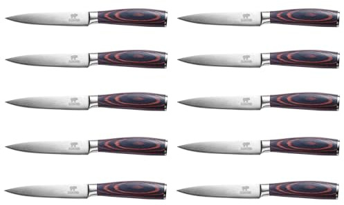 BEEFSTONE Set di 10 coltelli da bistecca, coltelli da chef professionali, manico ergonomico in legno, lama liscia, set di coltelli da cucina per bistecca