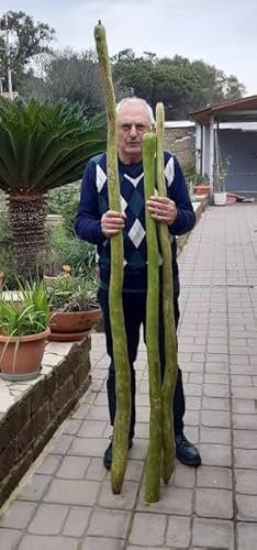 SEMI ZUCCA LAGENARIA LONGISSIMA- SERPENTE DI SICILIA-