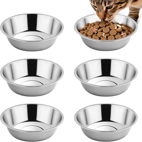6 cuencos para gatos de acero inoxidable, comedero para gatos de 5,5 pulgadas, cuenco de agua para gatos, comederos para gatos y perros pequeños