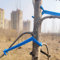 DVECUE Baumstreuer, Obstbaum, Gliedmaßen, 25 Stück, Apfel, Birnenbaum, Ast, Streuer zum Umgraben von Gliedmaßen für die meisten Obstbäume, Blau