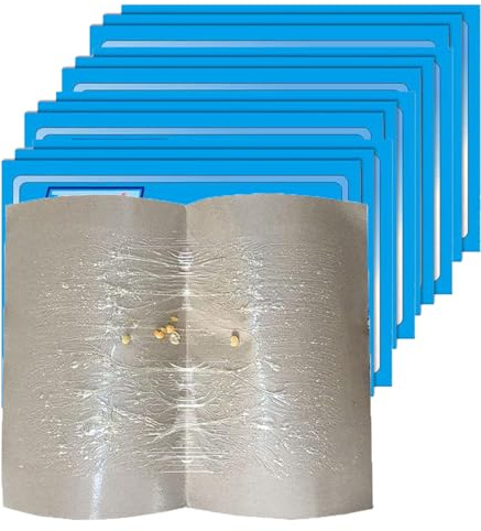 Pafnisoin Trampas para Ratones 12 Piezas Trampa para Ratas 35cm * 25,5cm Pegamento Ratas