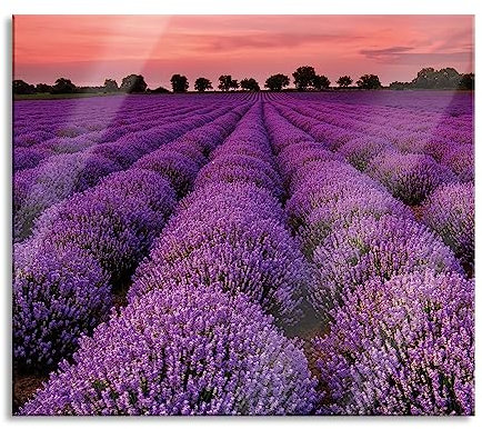 Wunderschöne Lavendel Provence Herdabdeckplatte & Spritzschutz aus Echtglas | Für Herd-Kochfelder | 60x52 cm