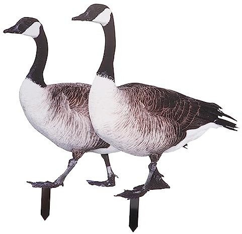 Toyvian 2pièces Piquet Art De Jardin Acrylique Décoration Extérieure pour Cour Et Jardin avec Détails Réalistes Facile à Installer