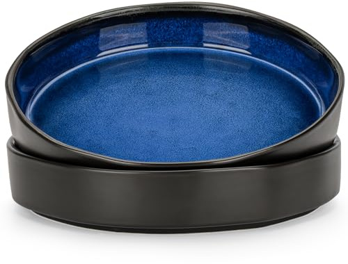 CSYY Lot de 2 bols à pâtes, bols de service en porcelaine, grandes assiettes creuses rondes de qualité supérieure pour salade, pâtes, fruits (bleu)