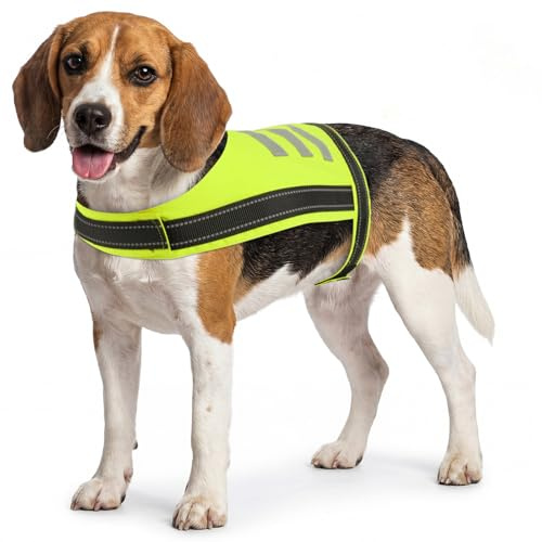 OUOBOB High-Visibility Dog Safety Vest, Breathable Mesh & Reflective for Night Walks, Adjustable Magic Tape Fit for Summer (M, Green)