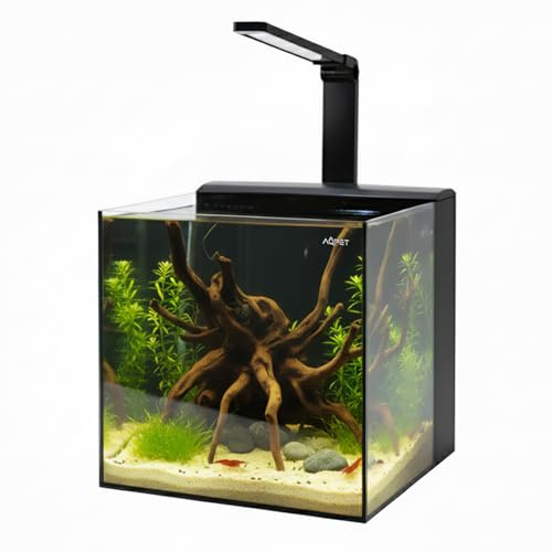 Aqpet Acquario Completo Kubic Rear 50x50x50 cm in Vetro Extrachiaro con Filtro Posteriore Integrato e Luce LED 16W – Vasca Cubica 125 L per Acquari Dolce e Marino – Design Moderno (Nero)
