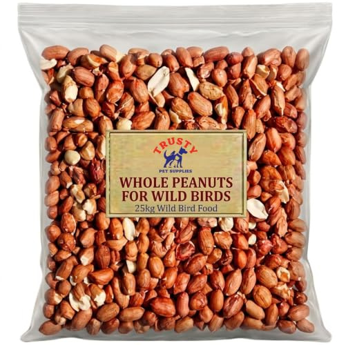 Peanuts for Wild Birds 25kg | Bird Peanuts & Wild Bird Food | Whole Premium Peanuts for Birds | High Energy Bird Nuts | Trusty Pet Supplies