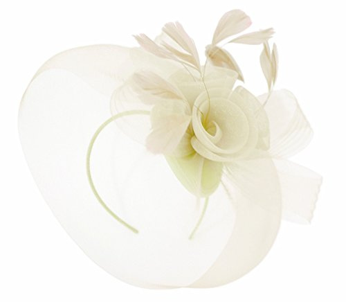 Caprilite Pop Feather Flower Fascinator Hat Veil Net Headband Clip Ascot Derby Races Wedding