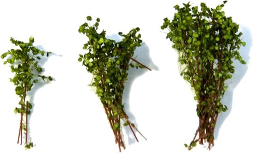 Green Stuff Arbustes hauts – Vert clair