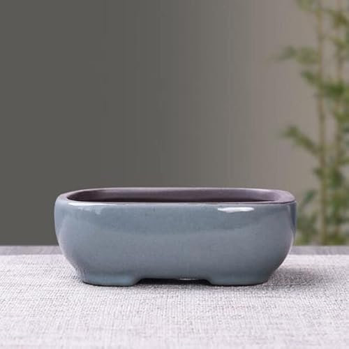 XIAOXIN Maceta de cerámica Retro para Flores, Maceta para Plantas suculentas de espárragos, jarrón Transpirable, contenedor para bonsái, decoración para el jardín y el balcón del hogar