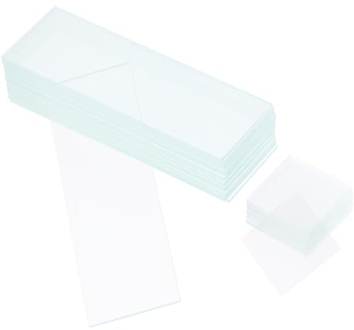 JECOMPRIS 50piezas Portas Objetos De Microscopio Borde Esmerilado Cubreobjetos Para Laboratorio Completo De Slides Para Estudio Científico y Biológico