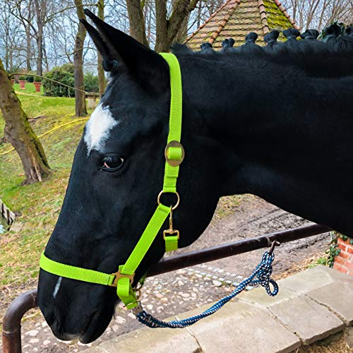 Halter for Horses Warmblood, Thoroughbred, Cold Blood - Stable Halter, Pasture Halter, 2 Adjustable Positions on Chin Strap and Headpiece, Safe and Tear-Resistant (Light Green, Cold Blood)