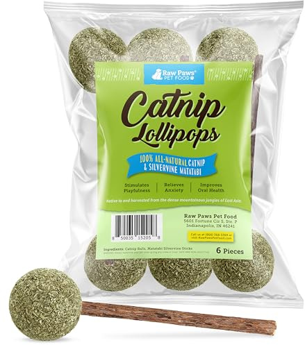 Raw Paws Catnip & Silvervine Lollipops Interactive Cat Toy (6 Pack) - Silvervine Sticks for Cats - Catnip Ball Toy - Fresh Cat Nip - Silver Vine Dental Sticks