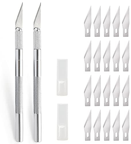 Ehdis 2 escalpelo manualidades, cutter profesional con 20 cuchillas, Cuchilo de tallar Manualidades Cuchillo para trabajos artesanales Cúter con Hobby, Plata