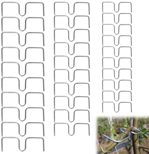 Gxlaihly 30 Pièces écarteurs de Branches pour Arbres fruitiers, 8, 10, 13cm, Épandeur de Branches, Supports de Fixation pour Arbres fruitiers, pour Jardin, Arbre fruitier, Branche, Support de Plante