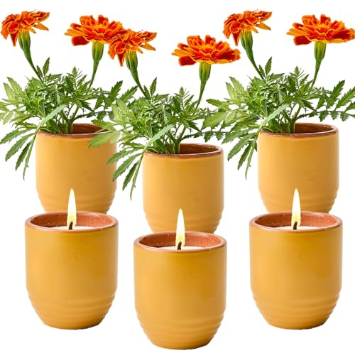 Modern Sprout 2-in-1 Soy Candle & Planter Set -Patio Goals 3-Pack (Bug-Repelling Citronella,Rosemary,Cedarwood,Mint) 6Oz Outdoor Scented Candles w/Marigold Seeds- 38–40 Hour Burn-Gift for Mother's Day