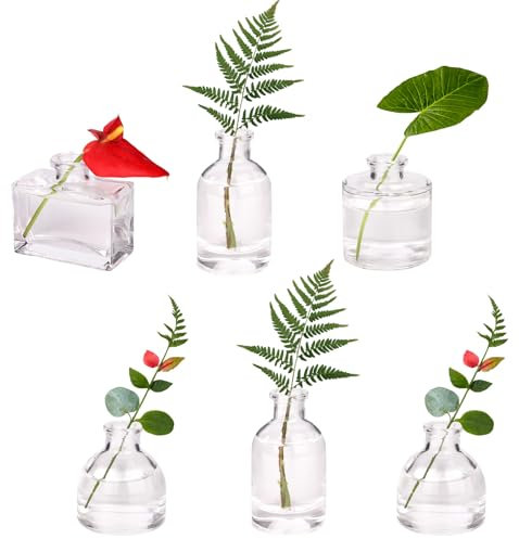 Otauoaea Vaso di Fiori Piccolo,Set di 6 Vasi di Vetro,Mini Vaso Vintage Tavola Decorazioni Matrimonio Trasparente, Vasi Piccoli Decorativi, Centrotavola Vetro, Decorazioni Fiori
