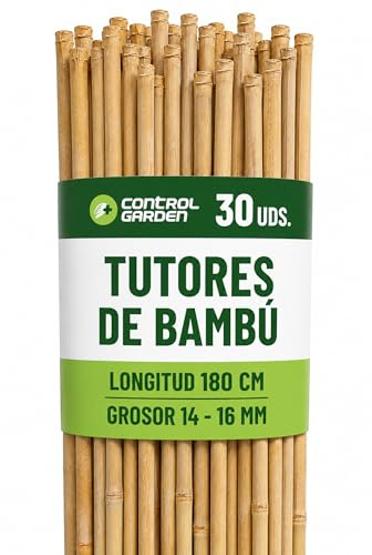 CONTROL GARDEN 30 Tutores de Bambu para Plantas 180 cm Grosor 14-16 cm | Cañas Estacas Natural para Tomateras, Enredaderas y Sujetar Cultivos | Varas Resistentes Huerto y Jardin