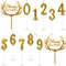 Ezydka Birthday Candles Numbers 12pcs Number Candles Set 0-9 Birthday Cake Candles Numbers for Birthday Anniversary Wedding Party Graduation Party, Gold